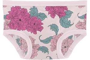 KIC KEE PANTS KicKee Print Training Pants, Super Soft and Extra Absorbent for Potty Training, Boy and Girl Underwear