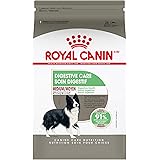 royal canin digestive care 10kg