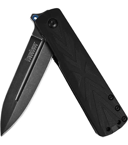 Amazon.com: Kershaw Concierge Pocketknife (4020); 8Cr13MoV
