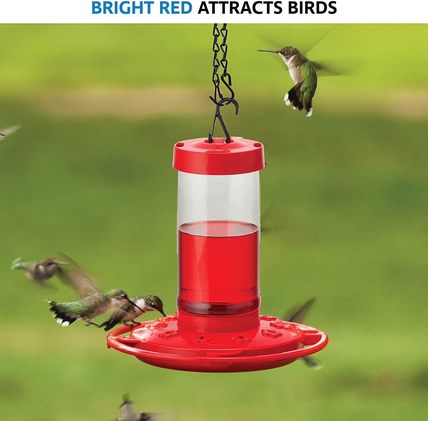 SEWANTA Hummingbird Feeders for Outdoors 16 Ounce - [Set of 2] First Nature Hummingbird Feeder Include, Perch with 10 Feeding Ports - Bundled with 2 Hanging Chains 9.5 Inch (4 Pcs Set) : Garden & Outdoor