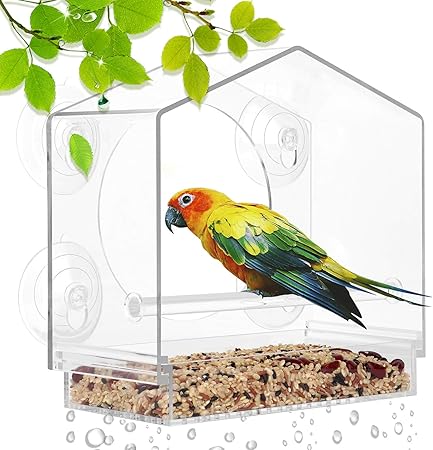 Amazon Com Yut Window Bird Feeders For Outside 4 Strong Suction