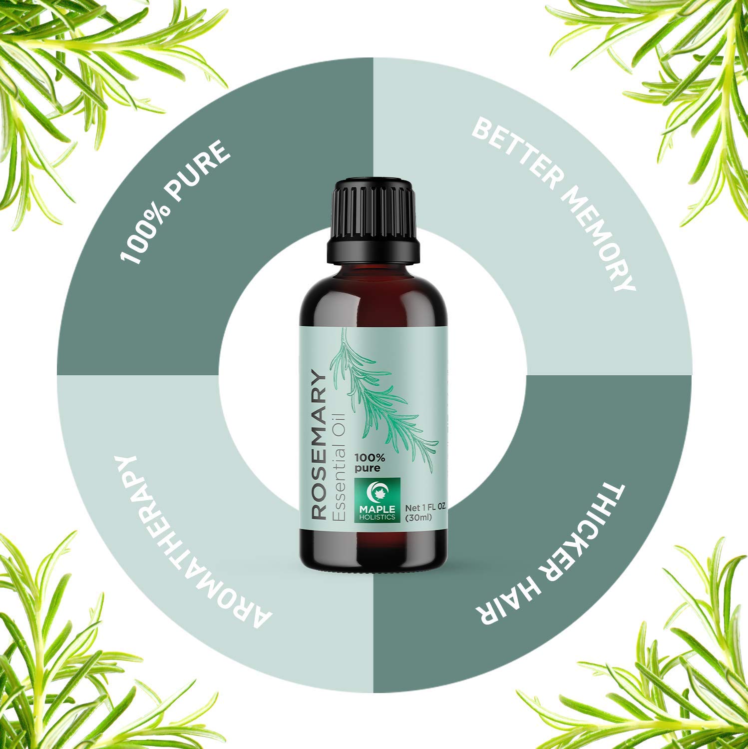 100% Pure Rosemary Essential Oil for Therapeutic Aromatherapy Stimulating Scalp Treatment for Healthy Hair Growth Anti Aging Antioxidant Ancient Beauty Elixir Natural Skin Care for Acne and Wrinkles: Beauty
