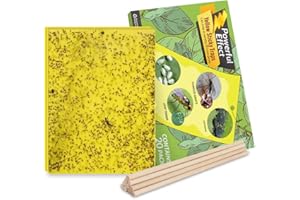 Kensizer 20-Pack Fruit Fly Trap, Yellow Sticky Gnat Traps Killer for Indoor/Outdoor Flying Plant Insect Like Fungus Gnats, Whiteflies, Aphids, Leaf Miners - 6x8 in, Twist Ties Included