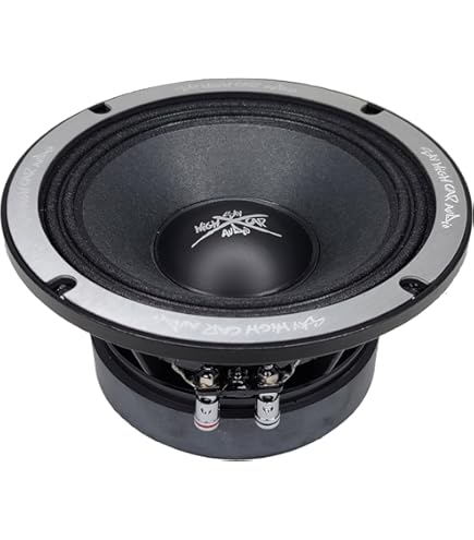 Amazon.com: Sky High Car Audio SHCA NEO84 8