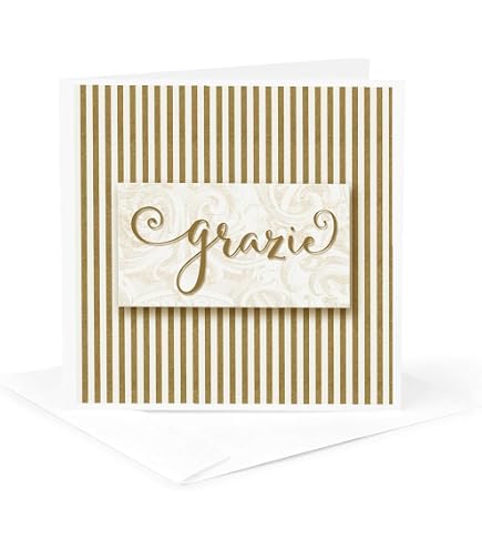 Amazon.com : GRAZIE CARDS with envelopes (20 count) : Office Products