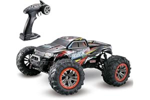 Hosim Hobby Grade 1:10 Scale Large Size RC Cars, 46+ KMH High Speed All Terrains Electric Toy Off Road RC Monster Truck Vehic