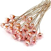 MLSG 100 Stems Natural Dry Flowers Brazilian Small Star Daisy Decorative Dried Flowers Mini Daisy Chamomile Bouquet for Wedding Floral Arrangements Home Decorations (Lotus Color)