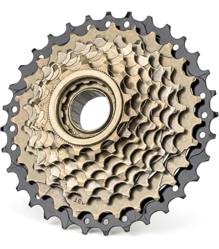 Amazon.com : Sunrace Freewheel 8 Speed 13-34 Teeth : Sports & Outdoors