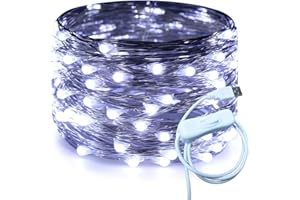 RUICHEN Silver Wire 33 Ft 100 LED USB Fairy String Lights with On/Off Switch (Cool White)