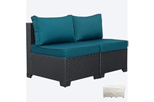 WAROOM Outdoor PE Wicker Patio Furniture Set Clearance 2 Piece Armless Chairs Black Rattan Sofa with Peacock Blue Cushions