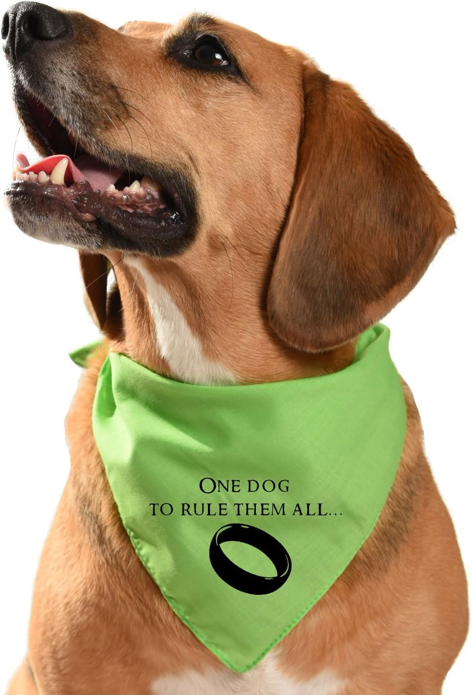 LOTR Hobbit Lord of the Rings Dog Bandana - One dog to rule the worldโฆ (regular, lime green)