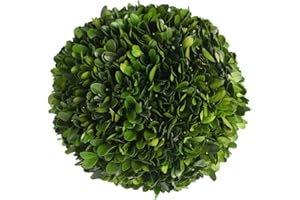 BOXWOOD WORLD BoxwoodWorld Boxwood Topiary Ball 5" Preserved Boxwood Topiary Plant Wedding Decor Indoor Plant Ball Topiary Tree Substitute Christmas Decorative Ball