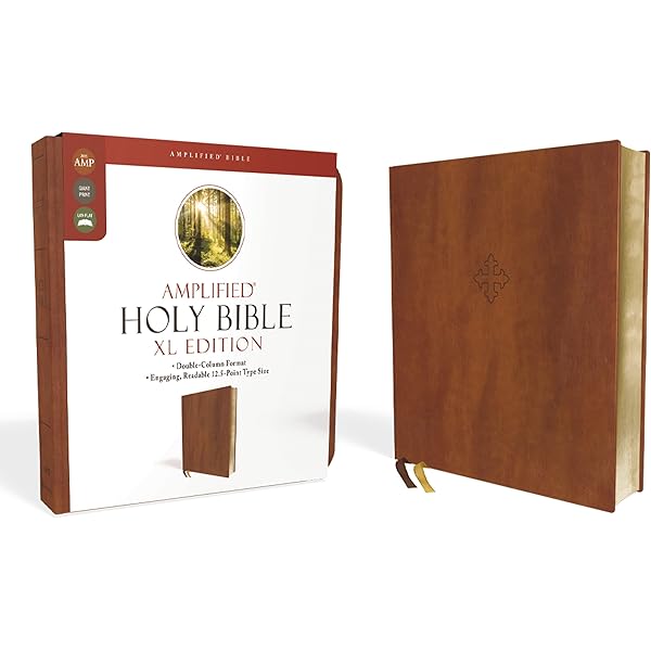 Amplified Holy Bible, XL Edition, Leathersoft, Burgundy: Zondervan