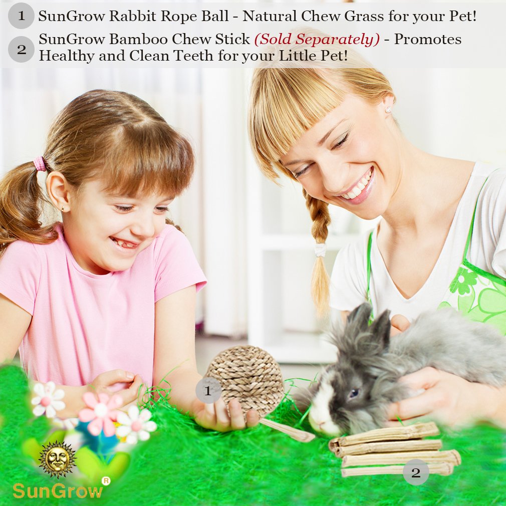 SunGrow Rabbit Rope Ball : Natural Grass Ball: Environmentally Friendly Toy: Entertaining & Fun for Your Pet: Suitable for Guinea Pigs & Chinchillas & Other Small Pets