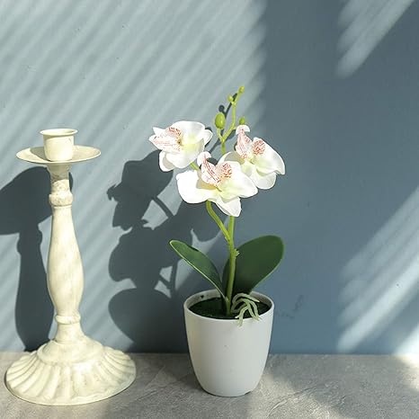 Amazon 高さ約cm フェイクグリーン 胡蝶蘭 鉢植え 造花 フェイクフラワー 防菌 世話いらず オシャレ 枯れない プレミアム 土なし 庭園 キッチン 室外 装飾用 披露会 家庭用 母の日 ギフト ホワイト 造花 オンライン通販