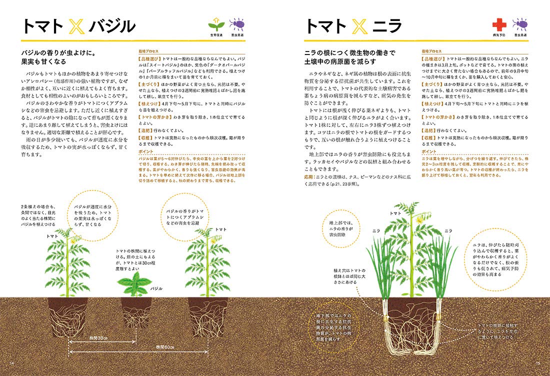 決定版 コンパニオンプランツの野菜づくり 育ちがよくなる 病害虫に強くなる 植え合わせワザ 木嶋利男 本 通販 Amazon