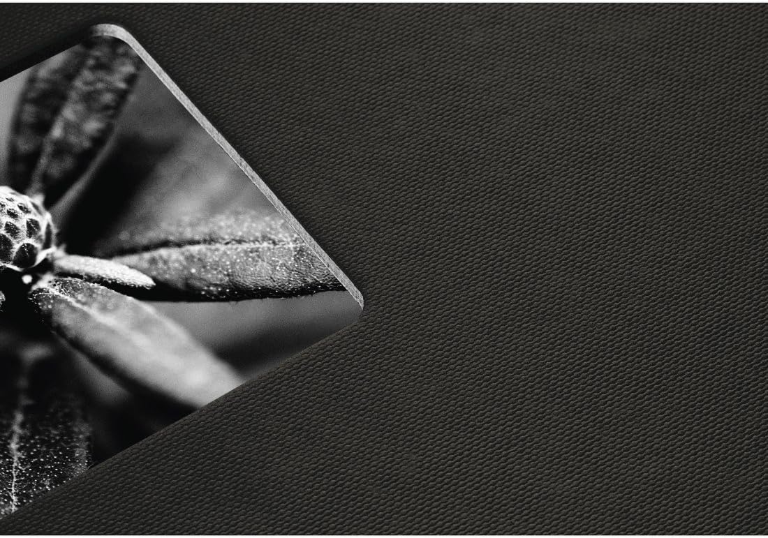 Hama Photo Album, Black, 28 x 24 cm, 00001961 - Image 5