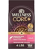Amazon.com: Wellness CORE Healthy Weight Adult Dry Dog Food, Grain Free  Kibble, Natural, High Protein, Turkey and Chicken Recipe, 12 lb Bag : Pet  Supplies