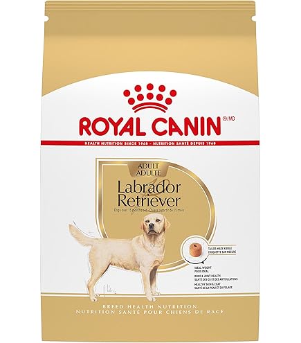 Royal Canin Golden Retriever Adult Dry Dog Food, 30 lb bag