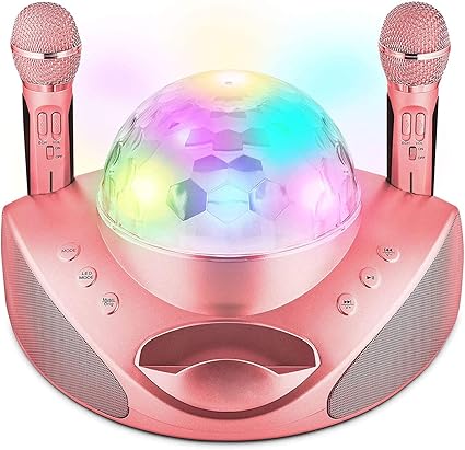 portable speaker microphone system