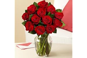 EFLOWERWHOLESALE Valentine's Day - Rose Elegance Premium Long Stem Red Roses - 12 with Free Vase