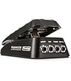 Amazon.com: Ernie Ball MVP Most Valuable Pedal (P06182), 25k