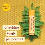 Burt's Bees Lip Balm Gift Set 4x4.25g Beeswax Vanilla Cucumber Coconut Pear view 4