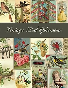 kindle best category lists