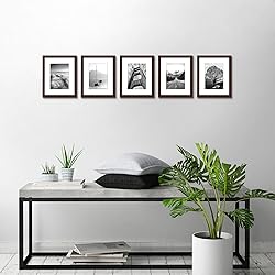Americanflat 8x10 Picture Frame Set of 5 in