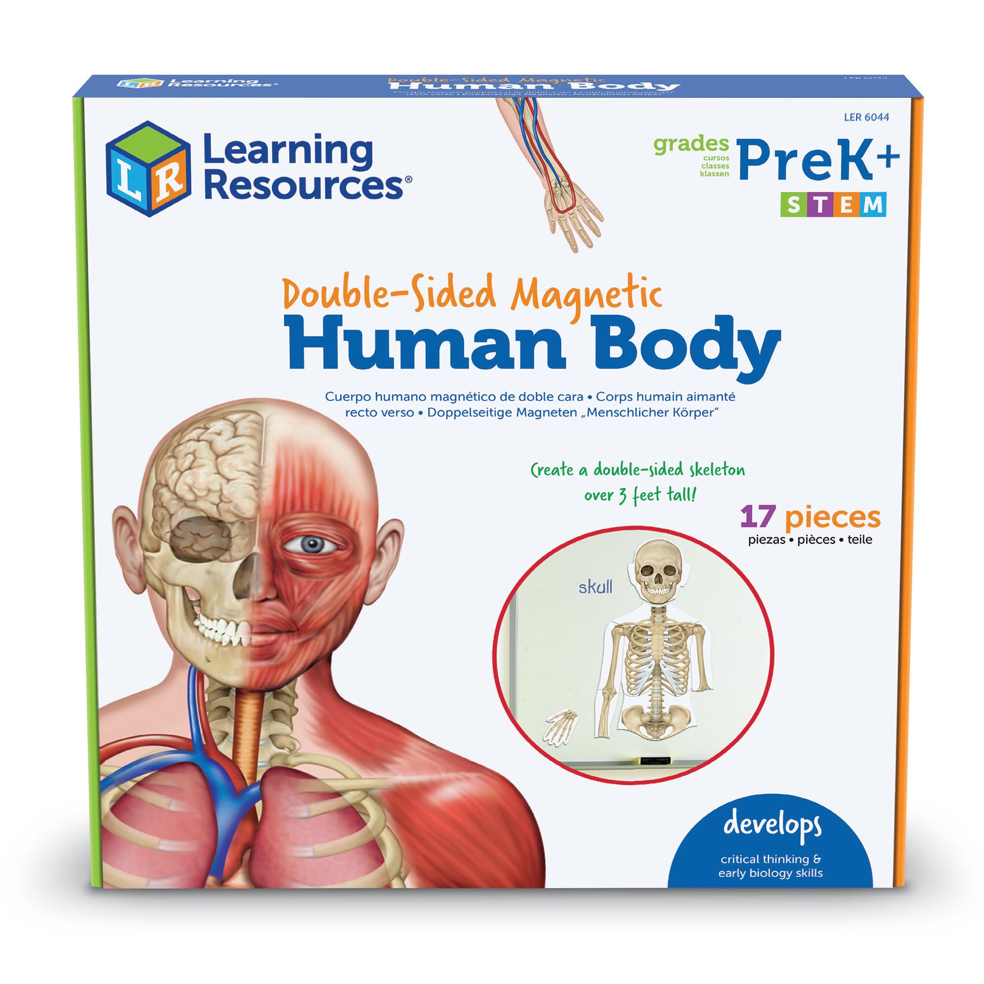 Learning Resources Double-Sided Magnetic Human Body