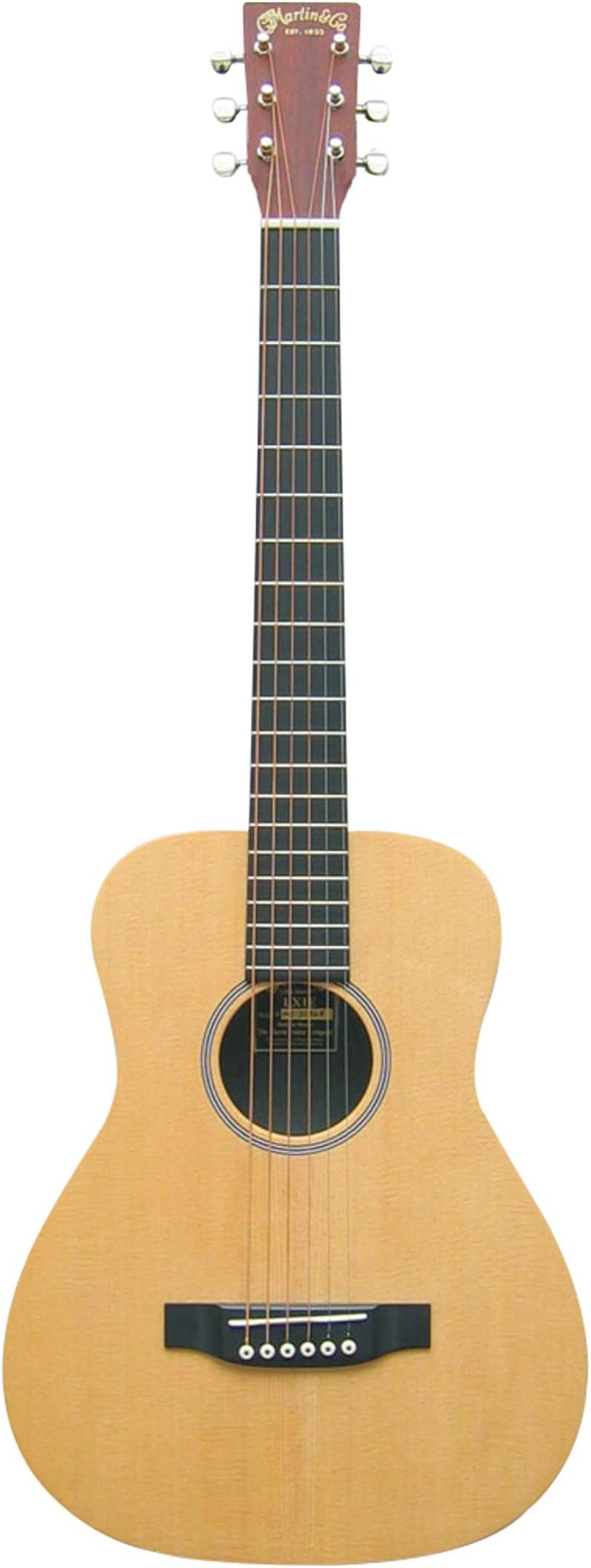 LX1 and Gig Bag