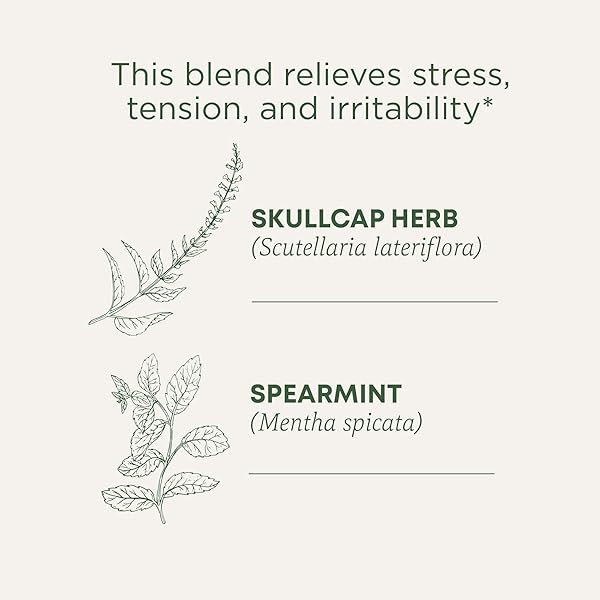 TRADITIONAL MEDICINALS ORGANIC STRESS EASE TENSION RELIEF TEA, LEMON VERBENA MINT, 96 COUNT