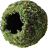 Galápagos (05346) Mossy Cave Hide, 4", Green