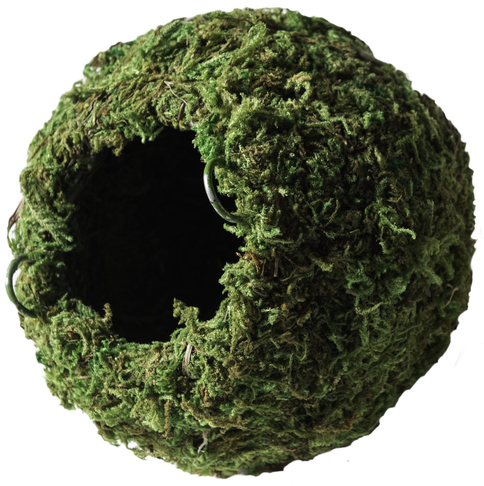 Galapagos (05346 Mossy Cave Hide, 4", Green