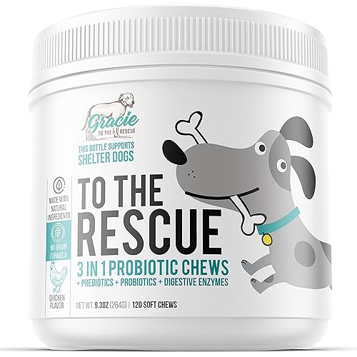 Probiotic Chews for Dogs, Support Digestive Health, Dog Probiotics and Digestive Enzymes, Dog Probiotic Chews, Probiotic Dogs, Puppy Probiotic, Pet Probiotics for Dogs - 120 Soft Chews