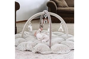 MALLIFY 5-in-1 Thick & Plush Baby Play Gym, Baby Play Mats for Floor, Tummy Time Mat with 6 Toys, Cat Bed, Dog Bed, Convertible Stage-Based Developmental from Baby to Toddler, Ball Pit, Pet Cushion Cloudico