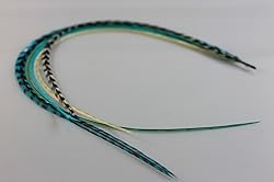 5 Feathers In Total 7"-10" in Length 5 Beautiful