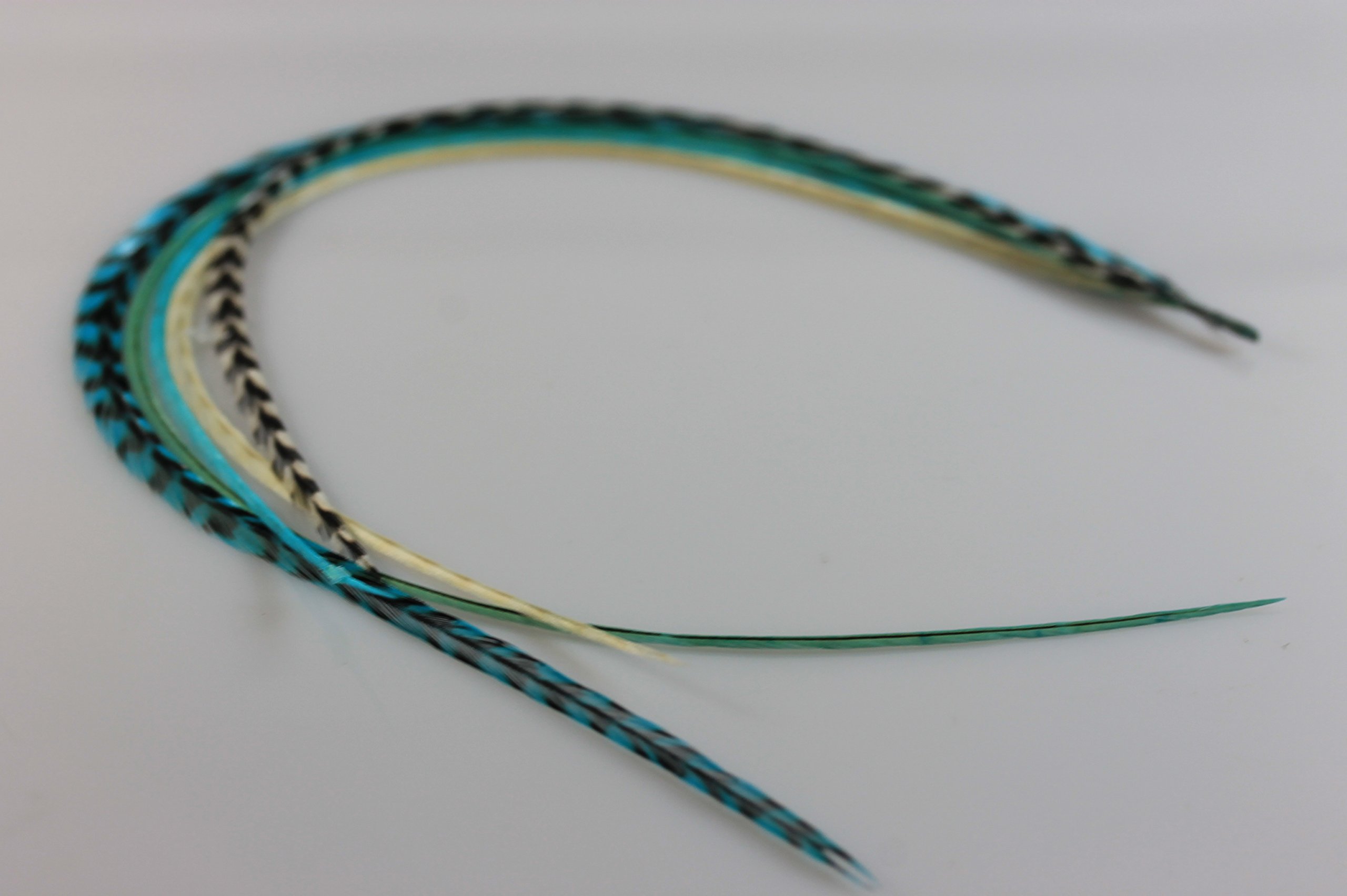 5 Feathers In Total 7"-10" in Length 5 Beautiful