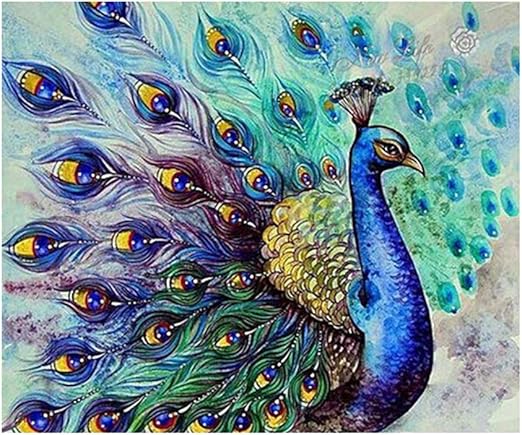 Nattnjf Pintura Diamante Patron De Pavo Real Decoracion De La Pared Bricolaje Hermoso Pavo Real Parcial Diamante Pintura Arte Punto De Cruz Bordado Decoracion Amazon Es Hogar