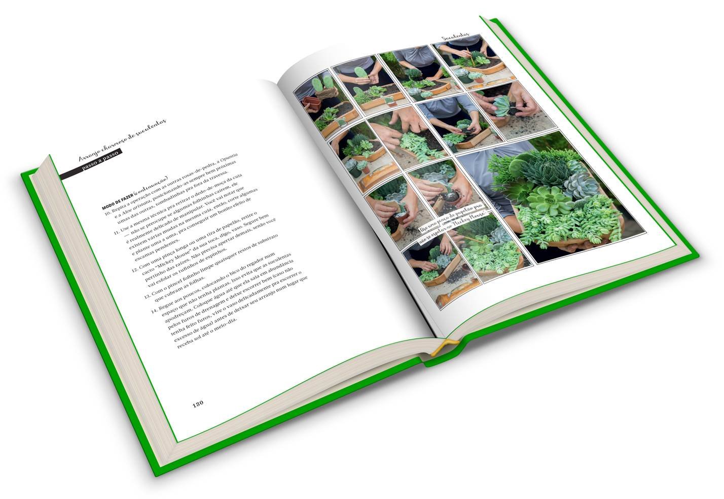 Livro 'Minhas plantas' por Carol Costa