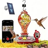 Hummingbird Feeder with Camera, Smart Glass Humming Bird Feeder Camera Solar Powered, AI Identify and Instant Notifications, 2K Live View, Leak-Proof Ant & Bee Proof, Ideal Gift for Bird Lovers