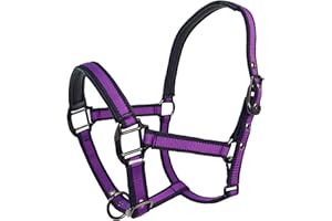 Hilltown Adjustable Horse Halter with PP Webbing, Durable Breakaway Halters for Horses with Zinc Alloy Hardware, Horse Training Equipment to Prevent Friction for Training, Competitions, Daily Use
