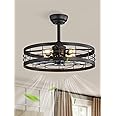 LEDIARY 22 inch Black Caged Ceiling Fan with Light, Bladeless Industrial Ceiling Fan with Remote, Farmhouse Fan Lights Ceiling Fixtures for Kitchen, Bedroom, Outdoor（6 Speed, Timing）-Black