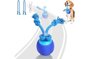Saolife Interactive Dog Toys with Motion Activated, Squeaky Dog Toy Active Rolling Ball for Puppy and Medium Dogs, USB Rechargeable, Wicked Ball