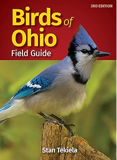 The Kids Guide To Birds Of Ohio Fun Facts Activities And 85 Cool Birds Birding Children S Books Tekiela Stan 9781591938378 Amazon Com Books