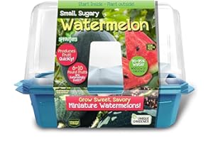 Unique Gardener Grow Your Own Watermelons, Premium Plant Seeds for Indoor Planting & Outdoor Gardening, Mini Live Sweet & Delicious Watermelon Plants Weigh 6-10 lbs, Just Add Water
