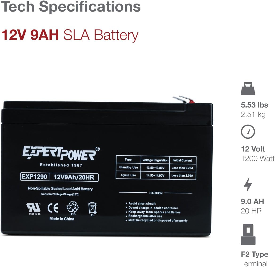 ExpertPower EXP1290-2 12V 9AH SLA Battery: Automotive