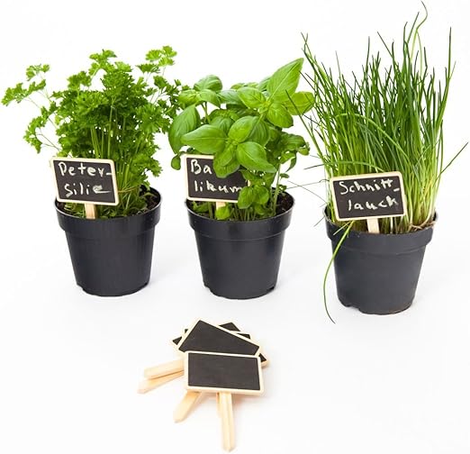 esto24® 10 Set – Etiquetas para plantas Planta estaca de madera ...