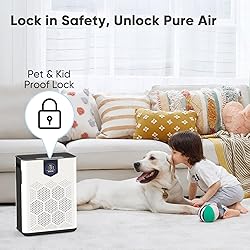 DAYETTE Air Purifiers for Home Large Room, H14 True