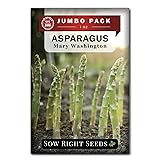 Sow Right Seeds - Bulk Mary Washington Asparagus
